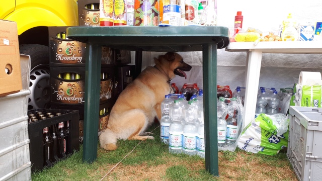 ../fotos/het_verlaat_2018/2018-08-04 14.33.23.jpg